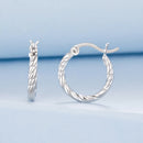 925 Sterling Silver Earrings with White Gold Plating-4