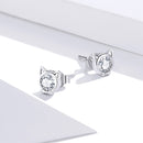 925 Sterling Silver Plated Platinum CZ Earrings for Women-5