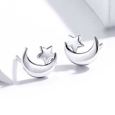 S925 Sterling Silver Earrings for Women - 0
