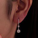 925 Sterling Silver Moissanite 1.00 Carat Earrings for Women-6