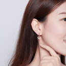S925 Sterling Silver Plated Platinum CZ Earrings for Women-7