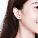 S925 Sterling Silver Plated Platinum Earrings-6