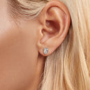 925 Sterling Silver Earrings for Women-5