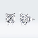 925 Sterling Silver Plated Platinum CZ Earrings for Women-4