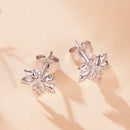 925 Sterling Silver Earrings for Women-4