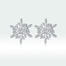 925 Sterling Silver Earrings for Women with Cubic Zirconia-4