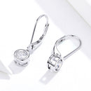 925 Sterling Silver Earrings for Women-2