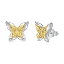 925 Sterling Silver White Gold Plated Small Earrings-1