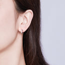 S925 Sterling SilverCZ Earrings for Women-6