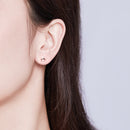 925 Sterling Silver Rose Gold Plated Pavé CZ Earrings for Women-6