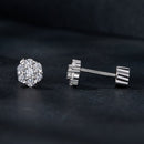 925 Sterling Silver Moissanite 0.15ct/0.027ct Earrings for Women-5