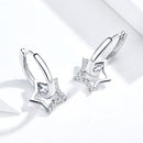 S925 Sterling Silver Plated Platinum CZ Earrings for Women-2