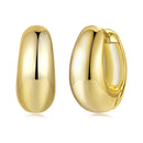 925 Sterling Silver White Gold Plated Earrings-1