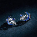 925 Sterling Silver Plated Platinum Pavé Setting CZ Earrings-6