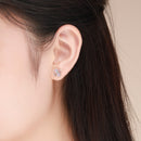 925 Sterling Silver Platinum Plated Pavé Setting CZ Earrings-5