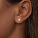 925 Sterling Silver Earrings with Pavé Setting CZ in White Gold Plated-5