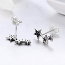 S925 Oxidized Silver Pavé CZ Earrings for Women-4