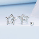 925 Sterling Silver Earrings for Women-4