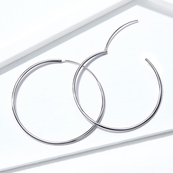 925 Sterling Silver Earrings for Women