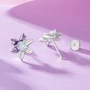 925 Sterling Silver Earrings with Enamel and Transparent Glass for Women-2