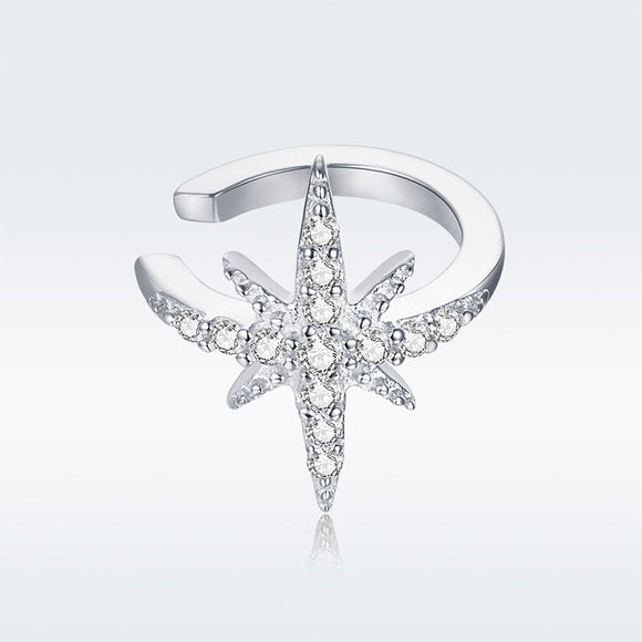925 Sterling Silver Plated Platinum Pavé Setting CZ Earrings for Women