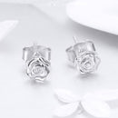 925 Sterling Silver Earrings for Women-4