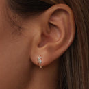 925 Sterling Silver Pavé Setting CZ Earrings for Women-6