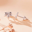 925 Sterling Silver Earrings for Women-5