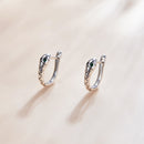 925 Sterling Silver Plated Platinum CZ Earrings for Women-3