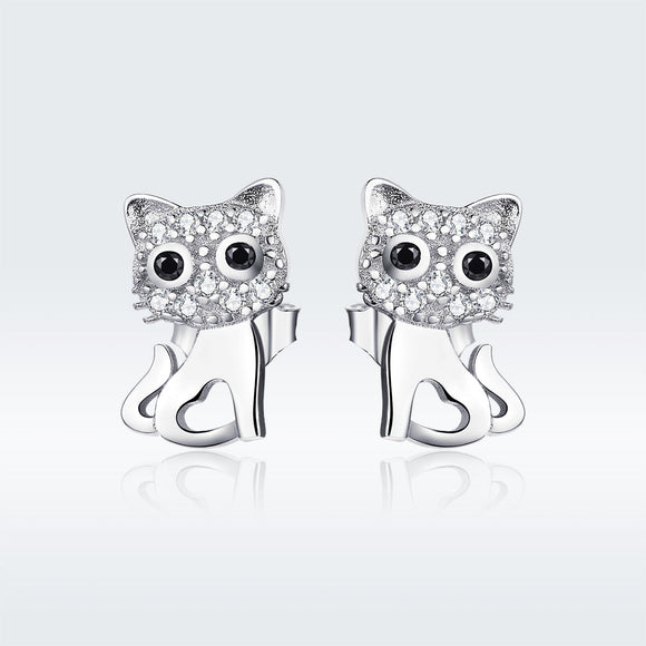 S925 Sterling Silver Earrings for Women
