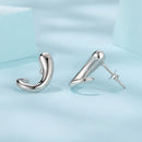 925 Sterling Silver Earrings for Women-4