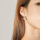 925 Sterling Silver CZ Pavé Setting Earrings for Women-6