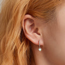S925 Sterling Silver Translucent Opal Earrings-5