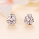 925 Sterling Silver Moissanite 0.5 Carat Earrings for Women-5