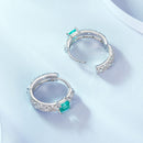 925 Sterling Silver Pavé Setting CZ Earrings for Women-5