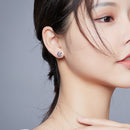 925 Sterling Silver Plated Platinum Pavé Setting CZ Earrings-7