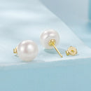 925 Sterling Silver Freshwater Pearl Earrings for Women-7