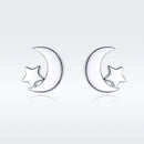 S925 Sterling Silver Earrings for Women-4