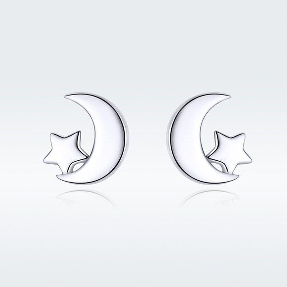 S925 Sterling Silver Earrings for Women