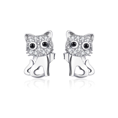 S925 Sterling Silver Earrings for Women
