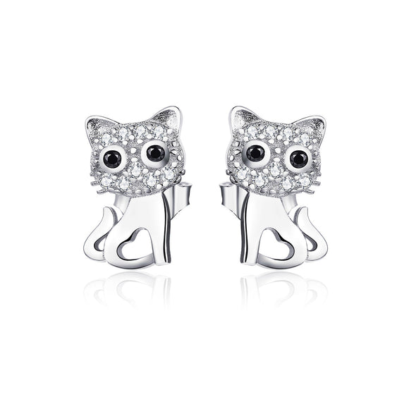 S925 Sterling Silver Earrings for Women