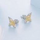 925 Sterling Silver White Gold Plated Small Earrings-3