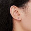 S925 Sterling Silver Earrings with Plated Platinum Finish for Women-7