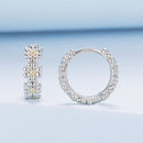 925 Sterling Silver Plated White Gold Earrings for Women-2