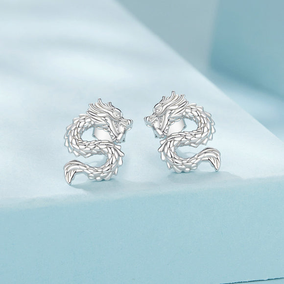 925 Sterling Silver Plated White Gold Earrings