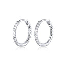 925 Sterling Silver Earrings for Women-1
