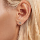 925 Sterling Silver Moissanite Earrings, 0.3cm, White Gold Plated, for Women-5