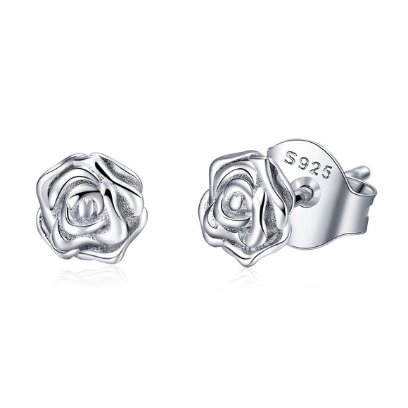 925 Sterling Silver Earrings for Women