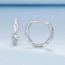 925 Sterling Silver White Gold Plated Earrings-2