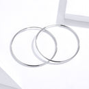 S925 Sterling Silver Earrings for Women-4